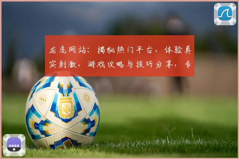 龙虎网站：揭秘热门平台，体验真实刺激，游戏攻略与技巧分享，专业玩家必备