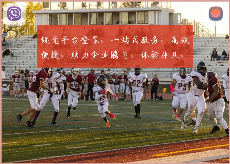 锐竞平台登录，一站式服务，高效便捷，助力企业腾飞，体验非凡，不容错过