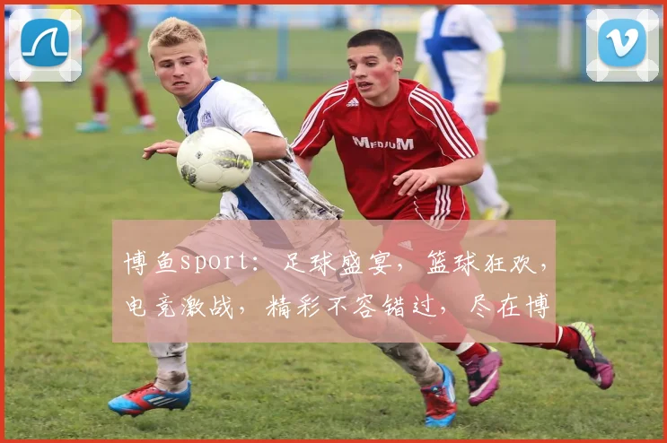 博鱼sport：足球盛宴，篮球狂欢，电竞激战，精彩不容错过，尽在博鱼体育平台